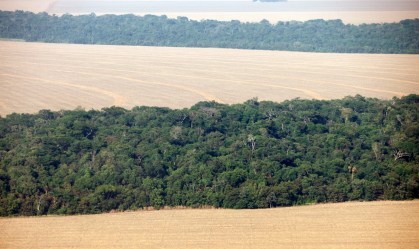 Mercados britânicos ameaçam boicotar Brasil se lei fundiária for aprovada