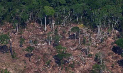 Brasil reduz orçamento de políticas climáticas enquanto desmatamento cresce