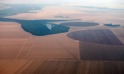 Vendas antecipadas da safra nova de soja do Brasil vão a 33%, diz Datagro