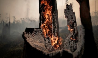 Governo vai proibir queimada na Amazônia por quatro meses