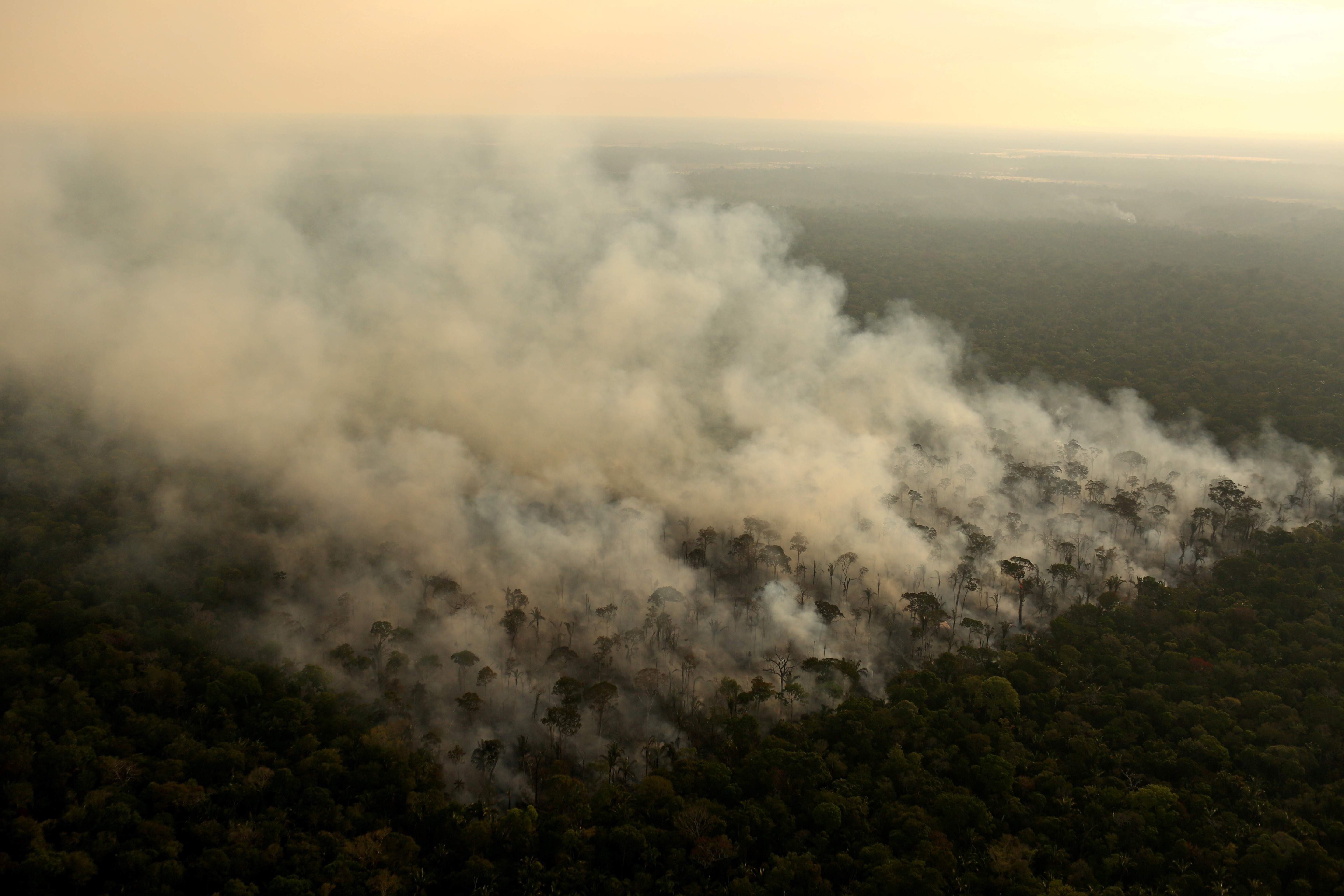 Incêndio em área da floresta amazônica na região de Porto Velho (RO)