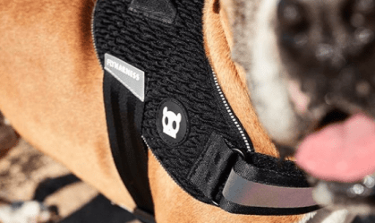 Zee.Dog, marca de acessórios para pets, recebe aporte de R$ 100 milhões