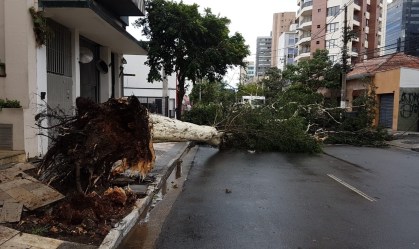 Grande São Paulo tem alerta para temporal e ventos fortes neste sábado