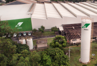 Klabin deve ter alta de 200 mil toneladas em produção em 2025, diz executivo