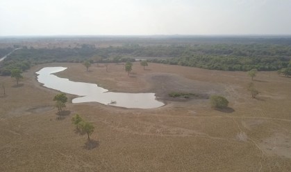 Mesmo após fim de incêndio, Pantanal terá mortandade de espécies aquáticas