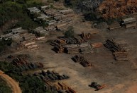 Brasil chegará à COP26 em uma situação incômoda, afirma pesquisador