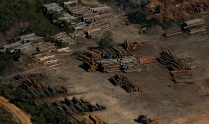 Brasil chegará à COP26 em uma situação incômoda, afirma pesquisador