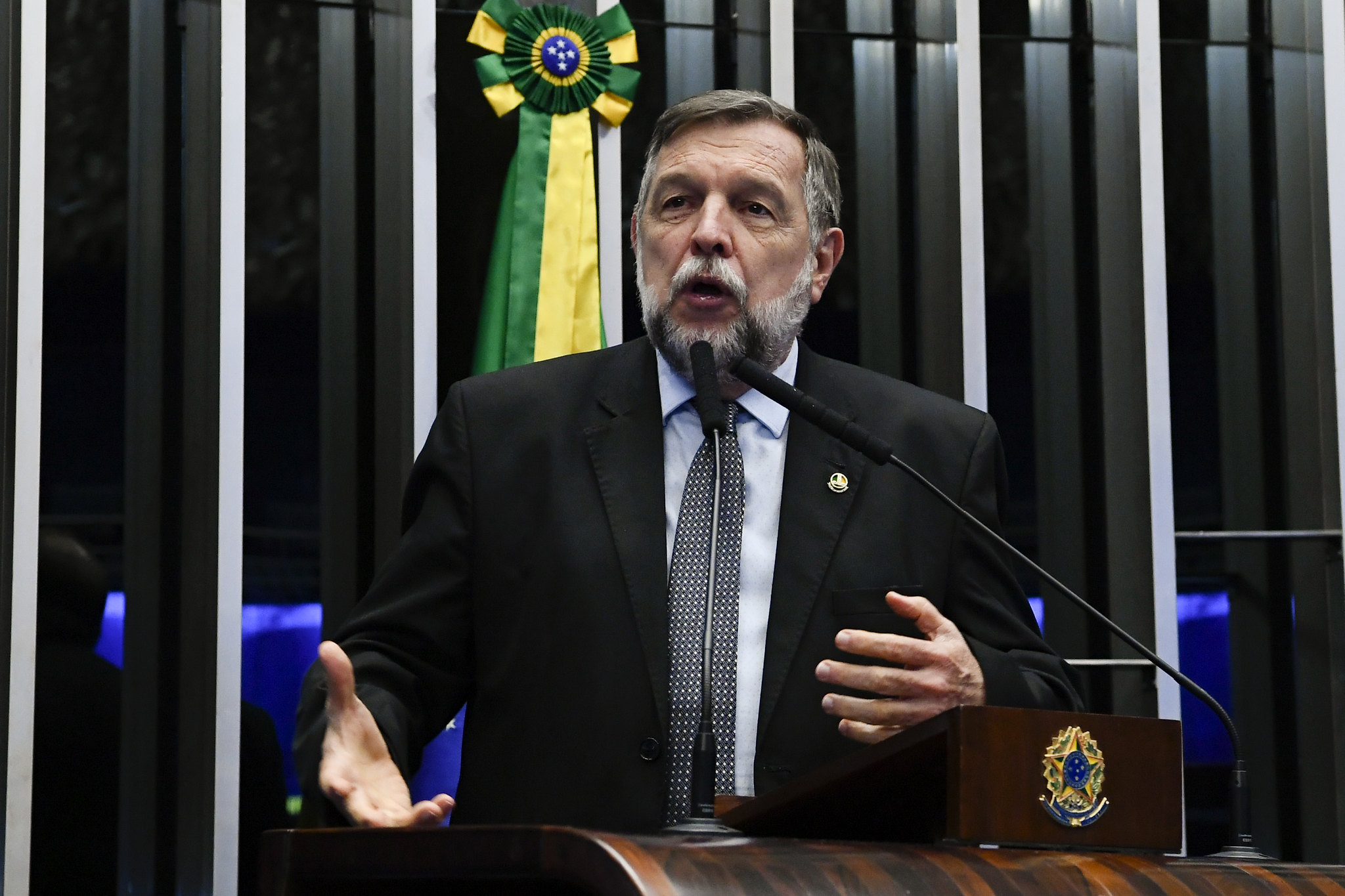 O senador Flávio Arns (Rede-PR)
