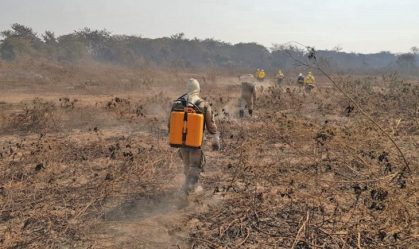 Governo federal oferece ajuda para conter queimadas no Pantanal