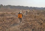 Queimadas na Amazônia, investigações da CPI e mais da noite de 1º de setembro