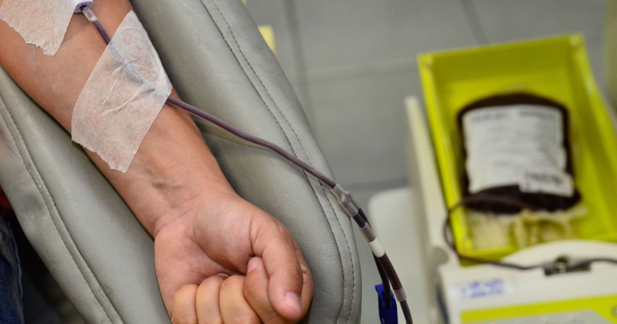 Testemunhas de Jeová podem doar sangue? Entenda o que mudou com nova regra | CNN Brasil