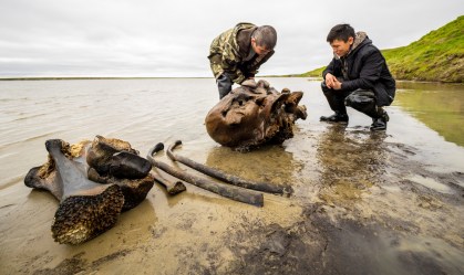 Esqueleto de mamute é encontrado em lago do Ártico na Rússia