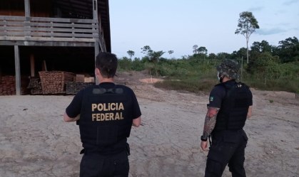 PF mira madeireiros e servidores públicos em operação contra desmatamento ilegal