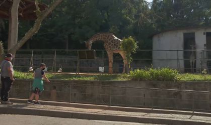 Com parques fechados, famílias celebram Dia dos Pais no Zoológico de São Paulo