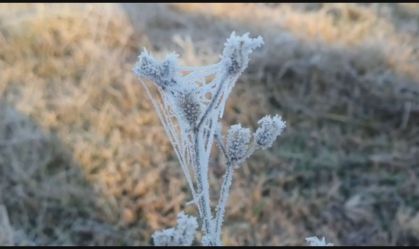 Queda de temperatura na região Sul provoca geada em cidades de Santa Catarina