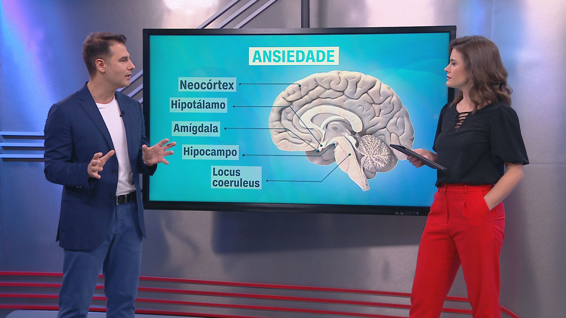 O neurocirurgião Fernando Gomes fala sobre ansiedade no quadro Correspondente Mé