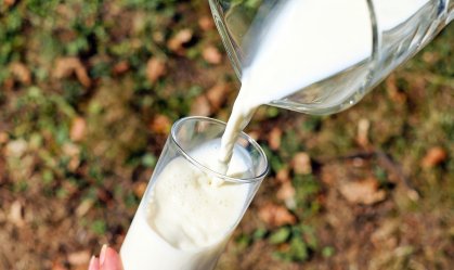 Leite vegetal x leite de vaca: estudo diz que um não substitui completamente o outro