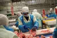 Exportações brasileiras de frango atingem recorde para mês de fevereiro