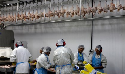 Contato com infectado é mais perigoso que ingerir alimentos, dizem especialistas