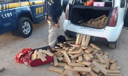 Polícia Rodoviária apreende pelo menos 9 toneladas de drogas no fim de semana