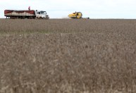 Agroindústria lança manifesto em defesa da democracia e critica instabilidade