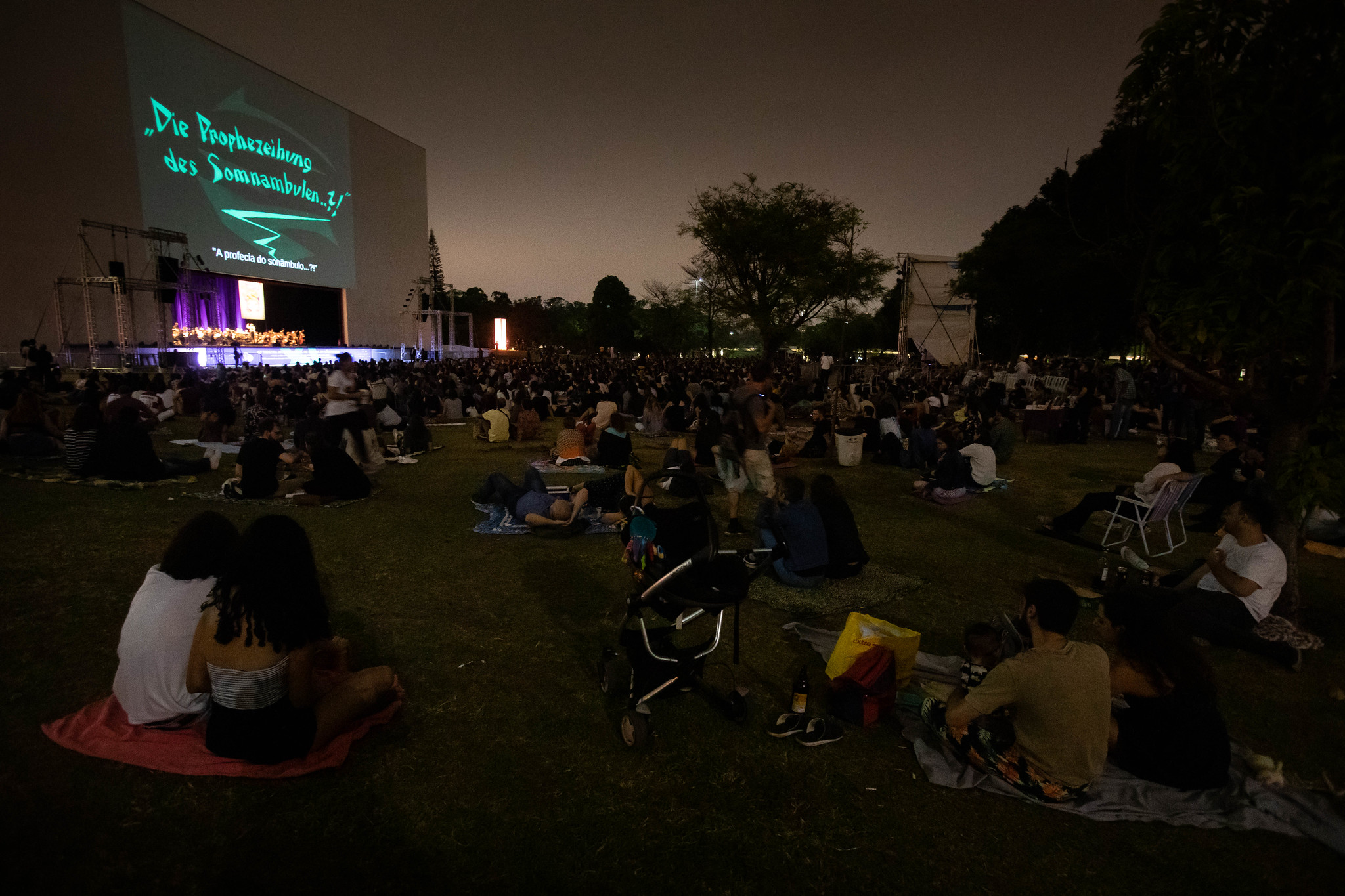  Mostra Internacional de Cinema de São Paulo