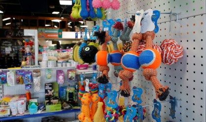 Estreia da Petz na bolsa anima investidores e ações disparam