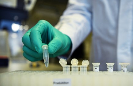 Funcionário trabalha em pesquisa de potencial vacina da Covid-19