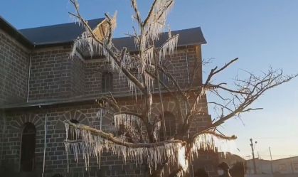 Pessoas tiram foto perto de árvore congelada pela frente polar no Sul do país