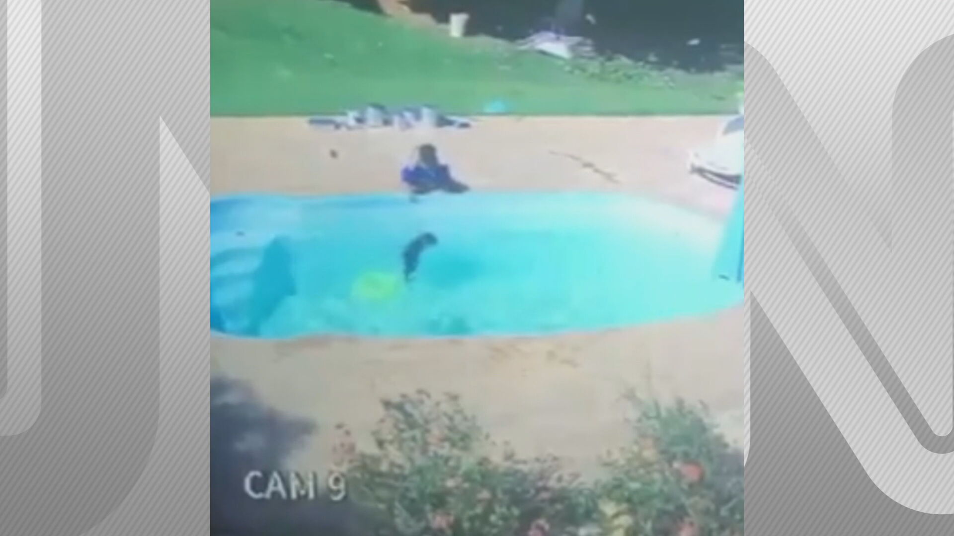 Menino de 3 anos salva amigo de afogamento em piscina no Rio de Janeiro
