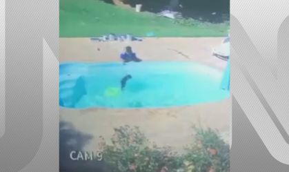 RJ: Menino de 3 anos salva amigo de se afogar em piscina e ganha homenagem da PM