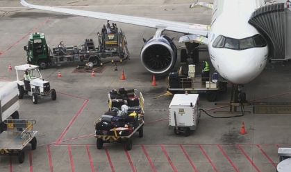 Avião atropela cobra e aterrissagens são suspensas em aeroporto de Pernambuco