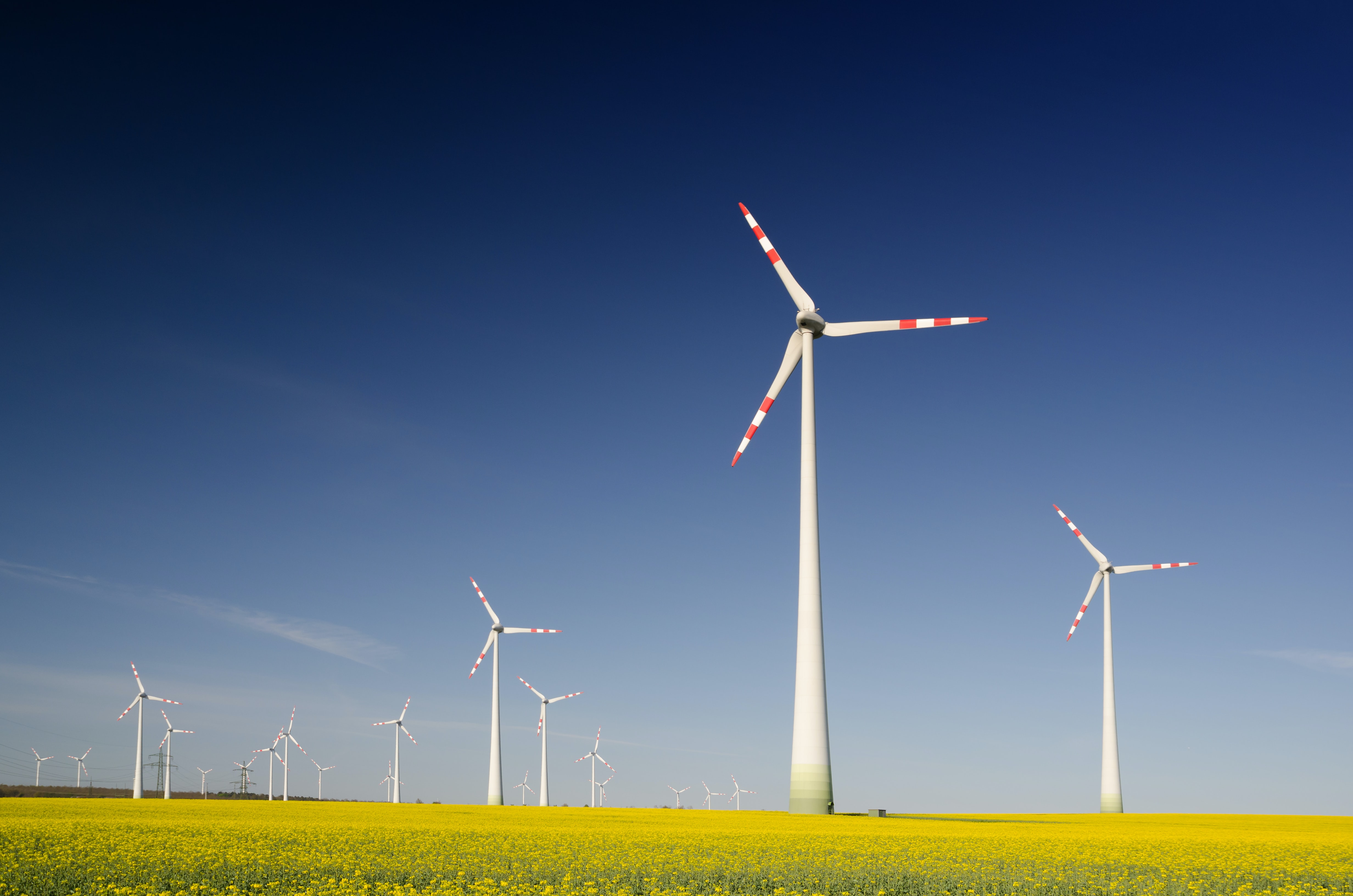 energia eólica