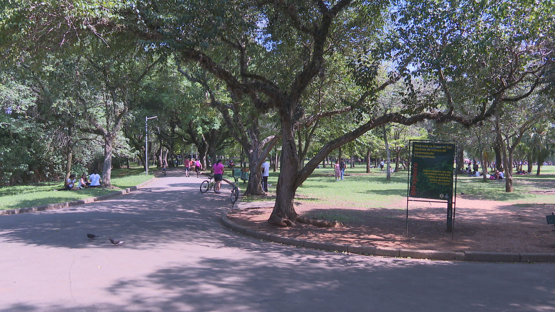 Grupos sentados na grama de parque municipal em São Paulo; horário dos locais vo