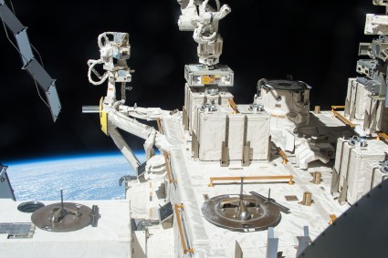 Pesquisadores deixaram bactéria Deinococcus radiodurans do lado de fora da ISS
