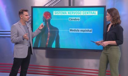 Correspondente Médico: Como o chikungunya afeta o sistema nervoso central?