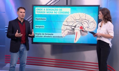 Correspondente Médico: Como o corpo age em situações de violência?