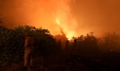Volume de queimadas no Pantanal em 2020 equivale à destruição dos últimos 6 anos
