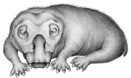 Estudo mostra animal que já hibernava para sobreviver ao frio há milhões de anos