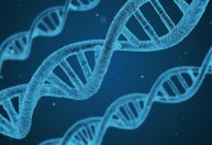 Cientistas dizem ter identificado momento em que a humanidade quase foi extinta