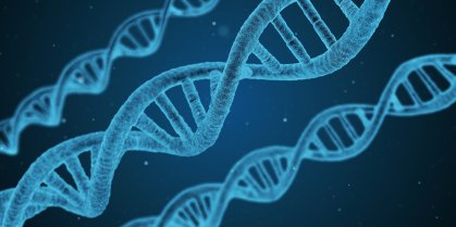 Representação gráfica do DNA