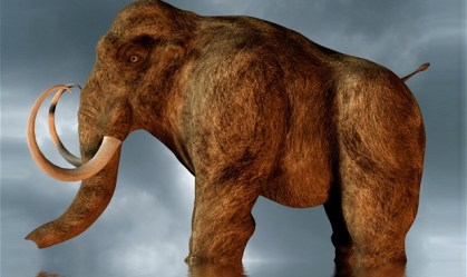 Mastodontes migraram por distâncias extremas por conta de mudanças climáticas