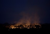Governo declara emergência ambiental em várias regiões por risco de incêndios florestais