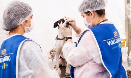 Projeto da ONG Moradores de Rua e Seus Cães cuida de cachorros de rua