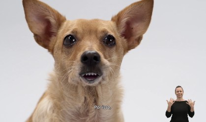Vira-lata caramelo vira 'cachorro propaganda' da nota de R$ 200