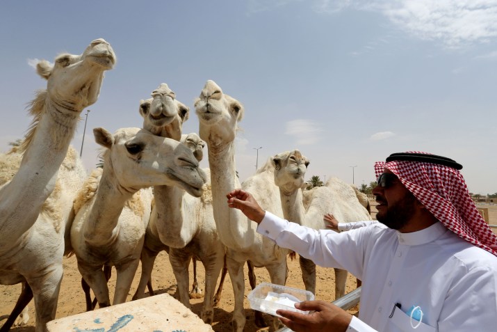 Festival dura 40 dias/ Foto: Ahmed Yosri / Reuters