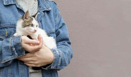 Pesquisa identifica 5 tipos de donos de gatos; qual é você?
