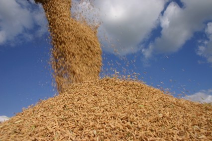 Exportação de arroz
