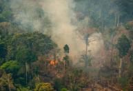 Queimadas destruíram área maior que o estado do Acre em 2023