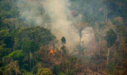 Queimadas destruíram área maior que o estado do Acre em 2023